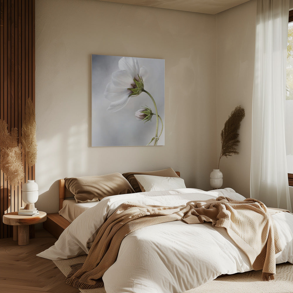 Heavenly Cosmos | Canvas