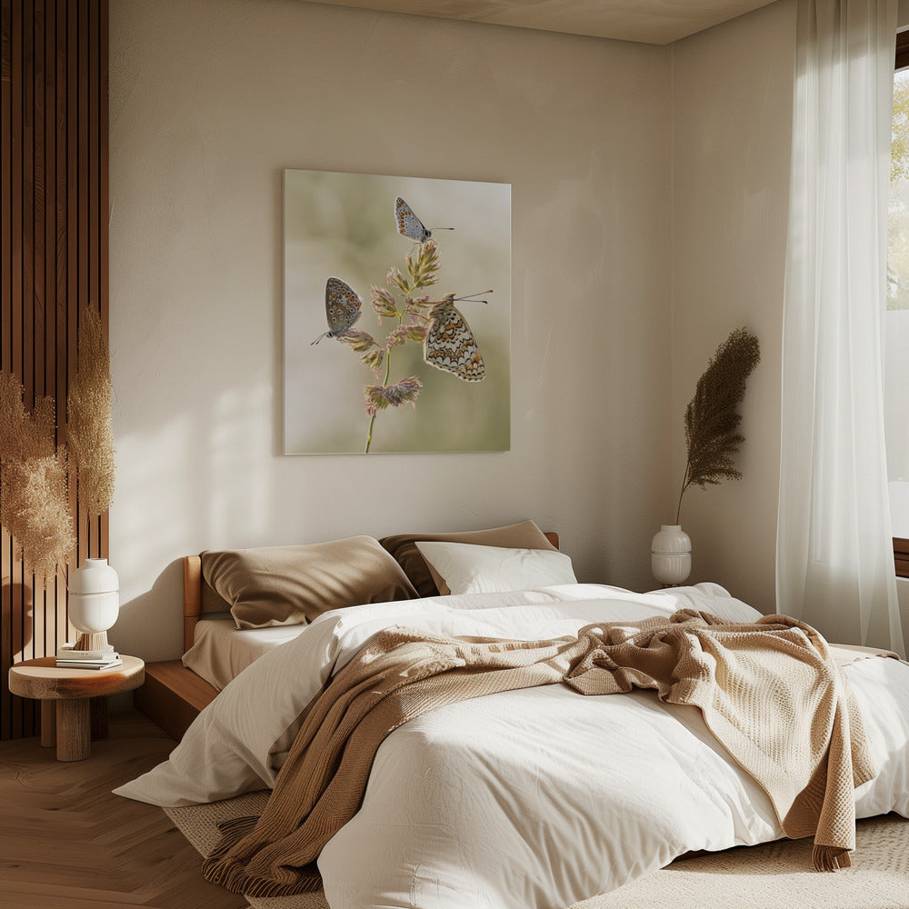 A kind of melting pot | Canvas