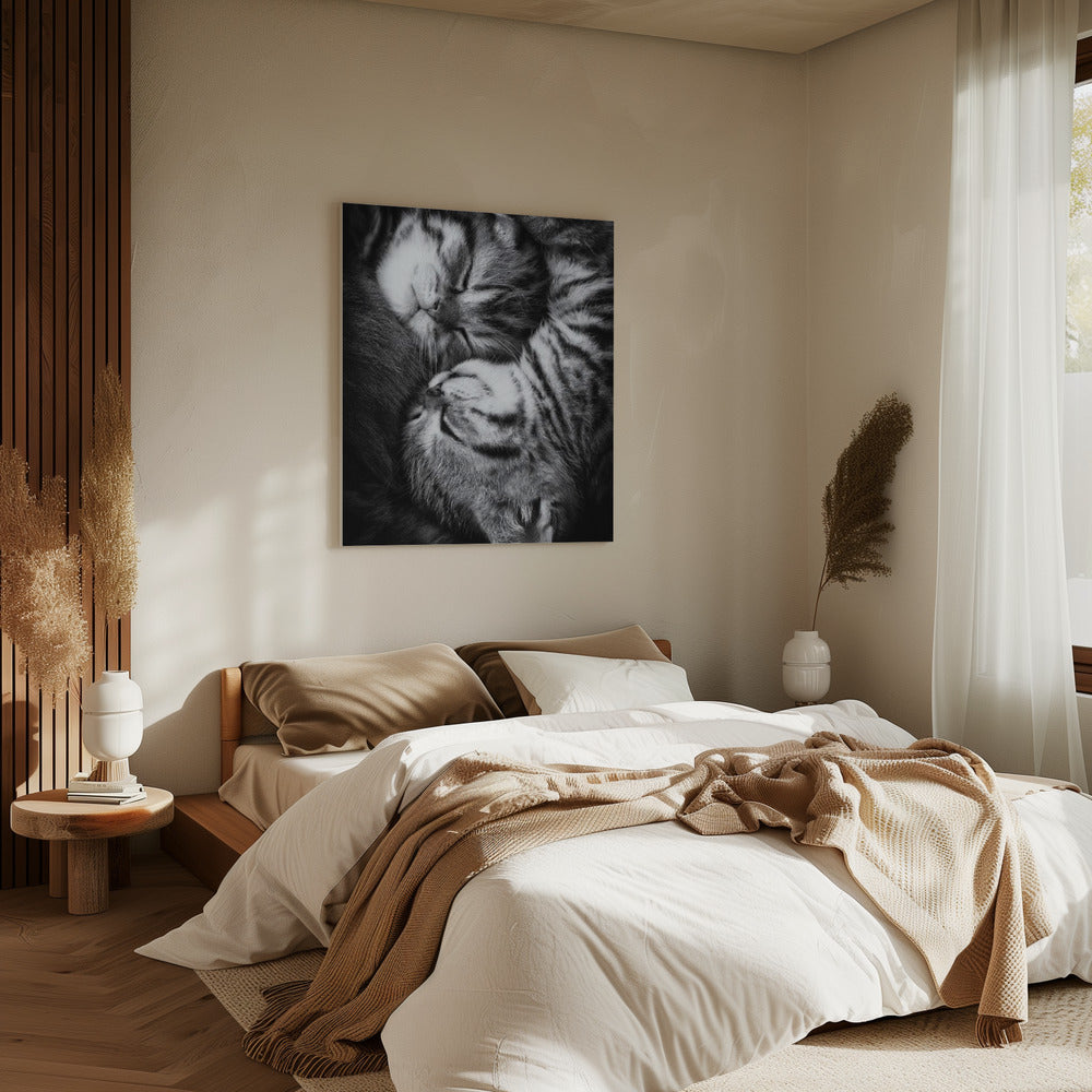 Yin and Yang | Canvas