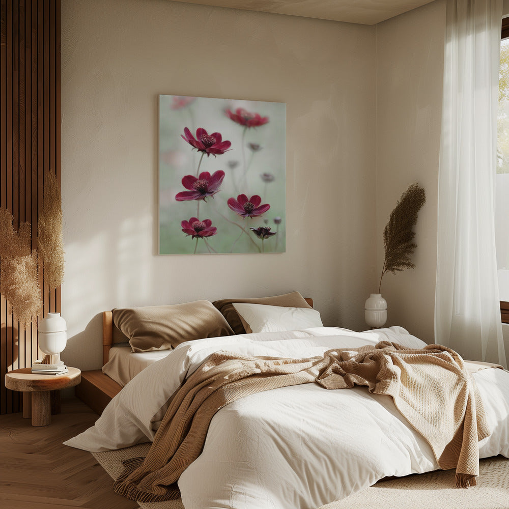 Cosmos sway | Canvas