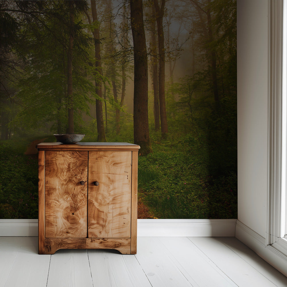 The Red Path. | Wallpaper