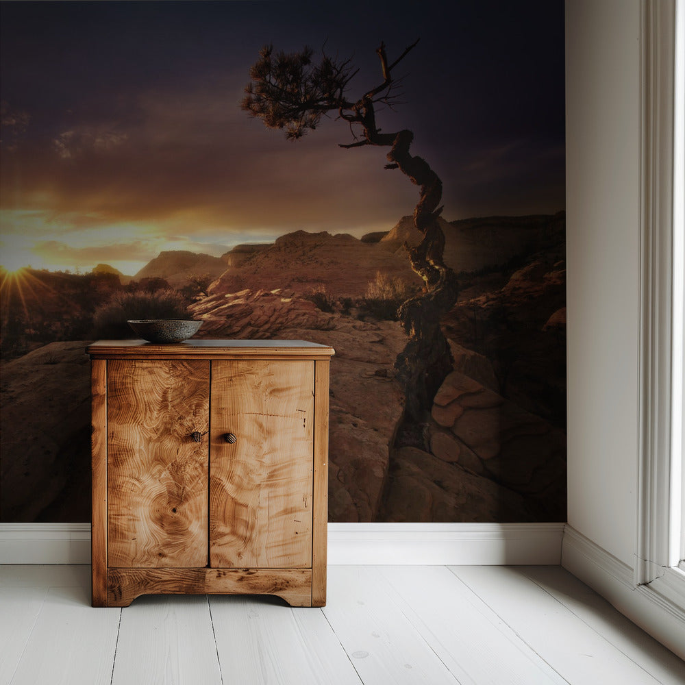 Distorted | Wallpaper