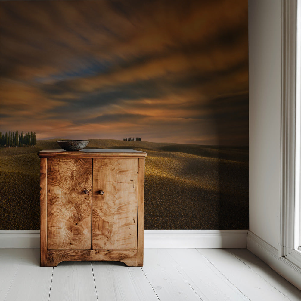 Cypresses... | Wallpaper