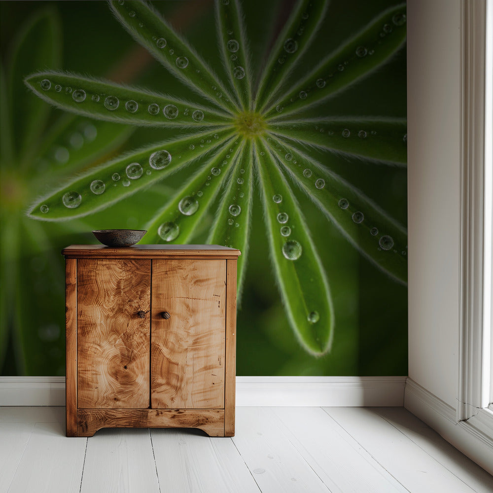 Pearly Lupine | Wallpaper