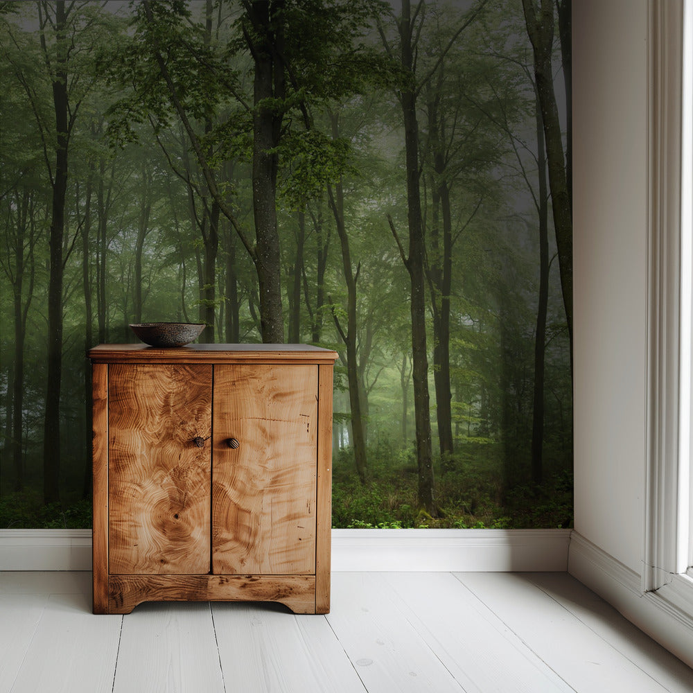 Forest... | Wallpaper