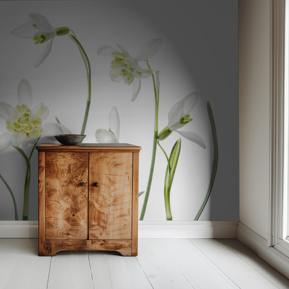 Spring Snowdrops | Wallpaper