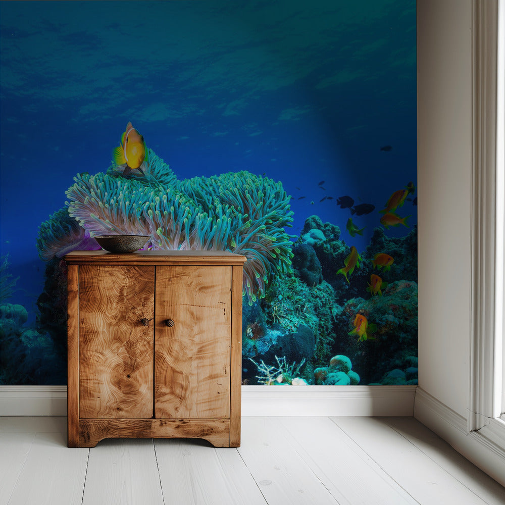 Sea life | Wallpaper