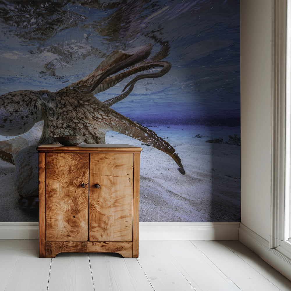 Dancing Octopus | Wallpaper