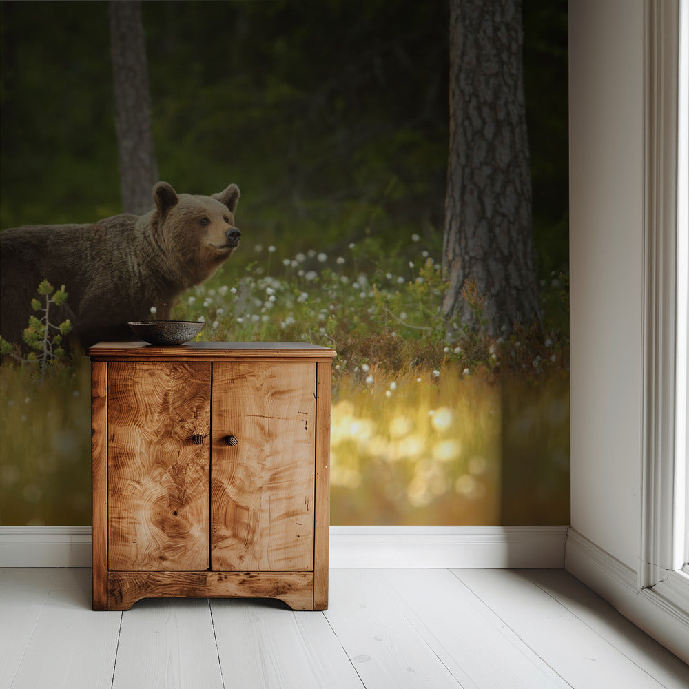 Brown Bear | Wallpaper