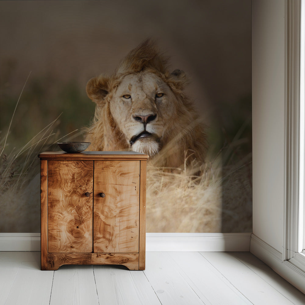 Handsome! | Wallpaper