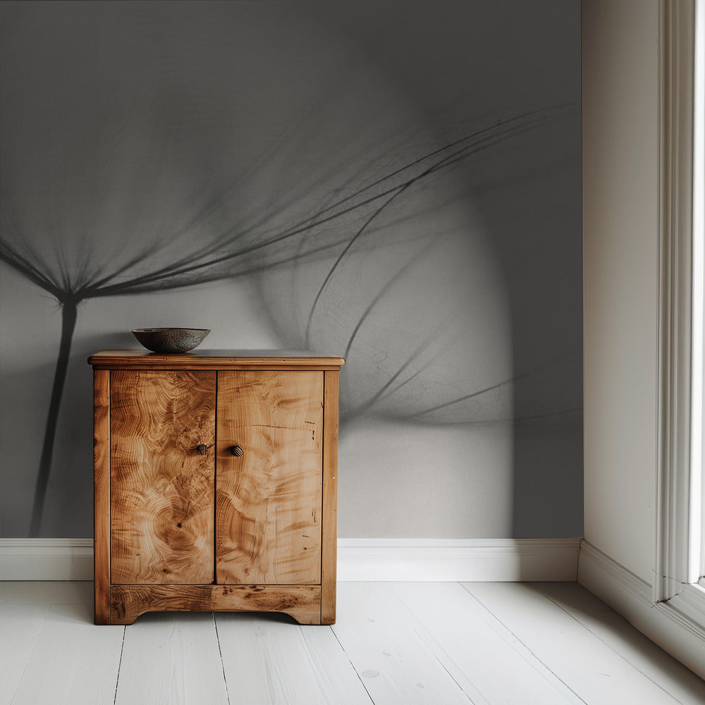 Tragopogon | Wallpaper