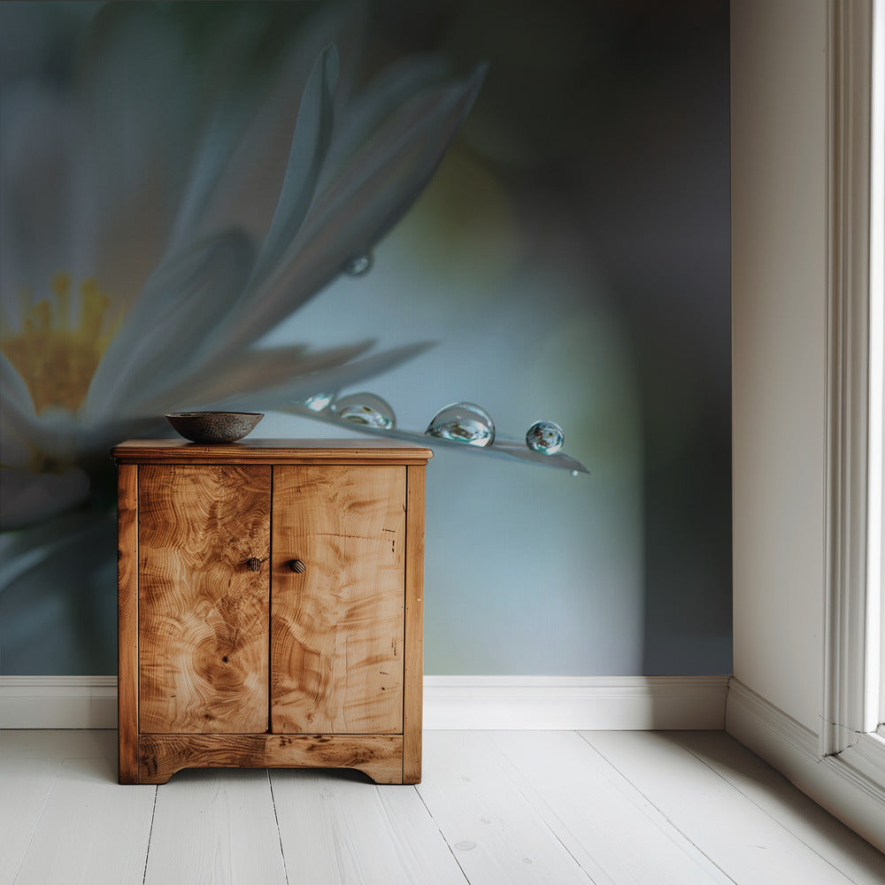 Light touch... | Wallpaper