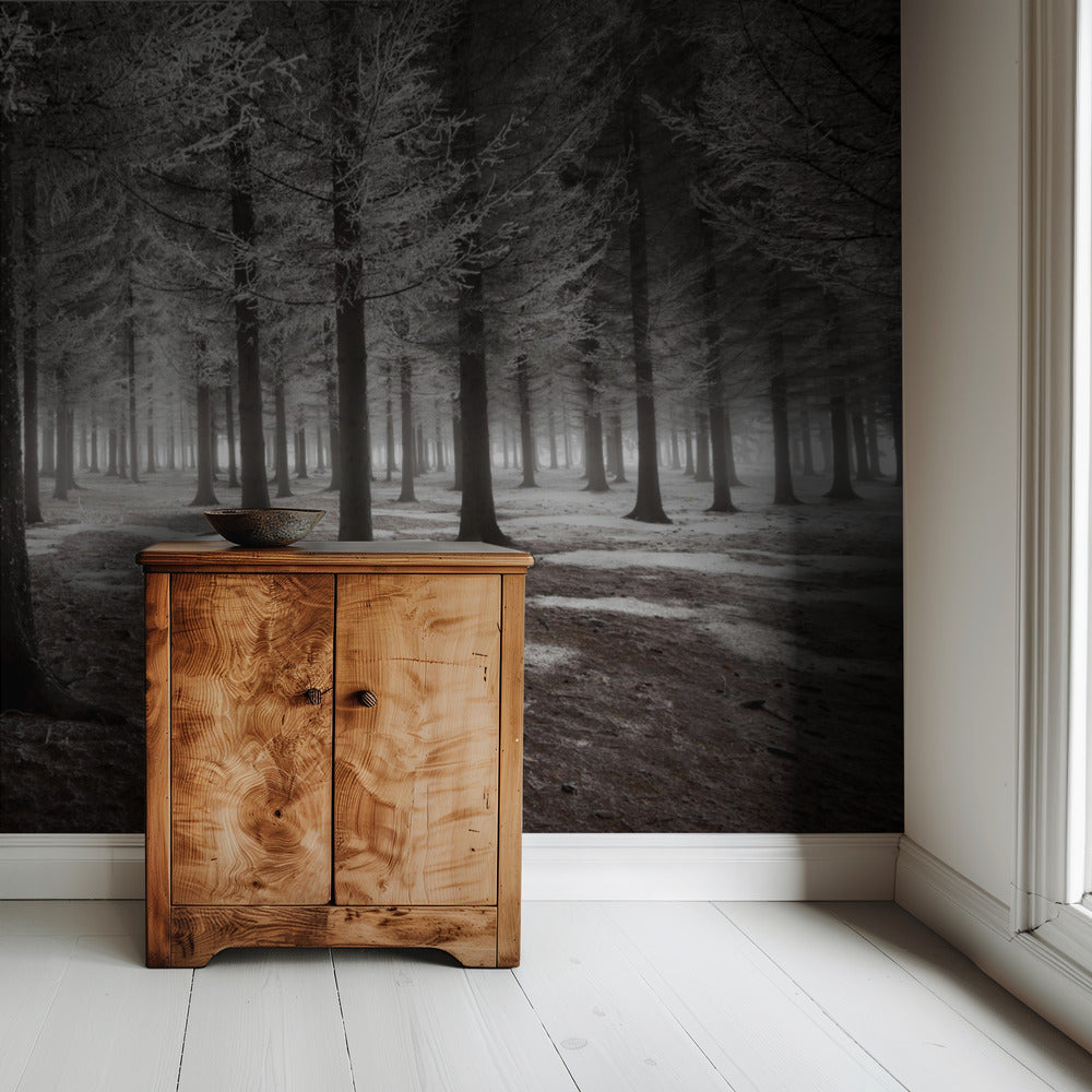 The onset of winter | Wallpaper