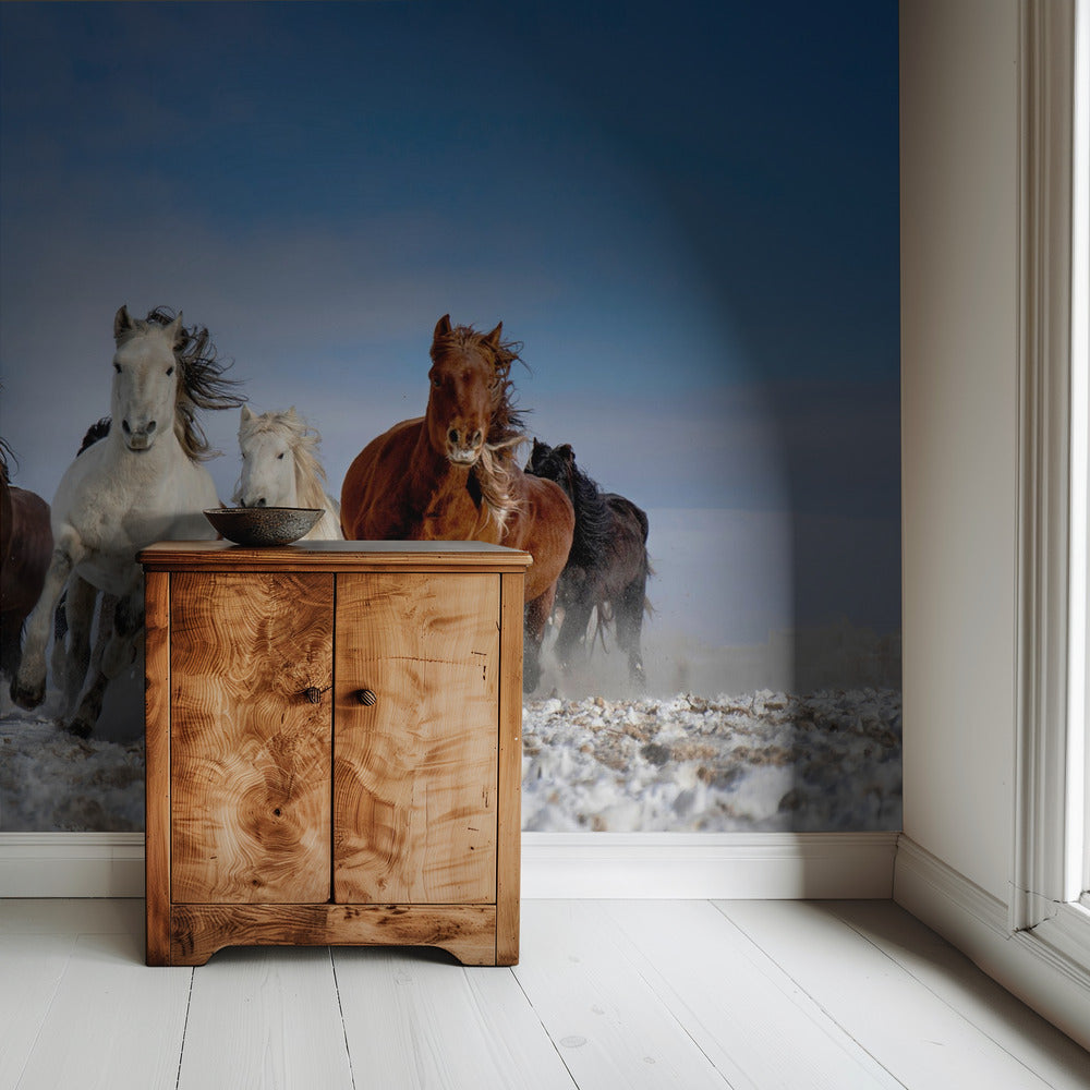 Mongolia Horses | Wallpaper