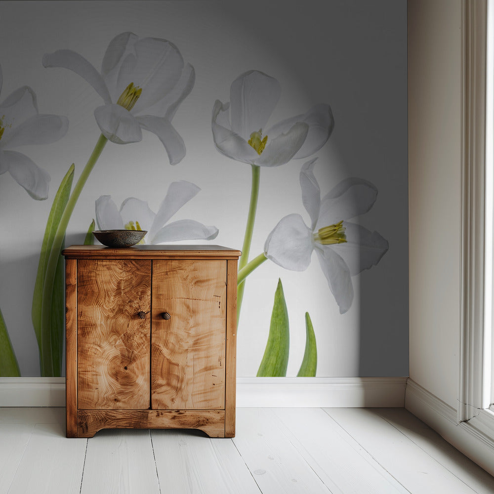 White Tulips | Wallpaper