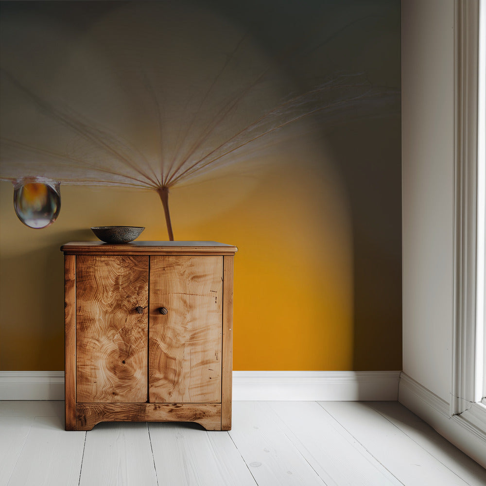 Little Night Music... | Wallpaper