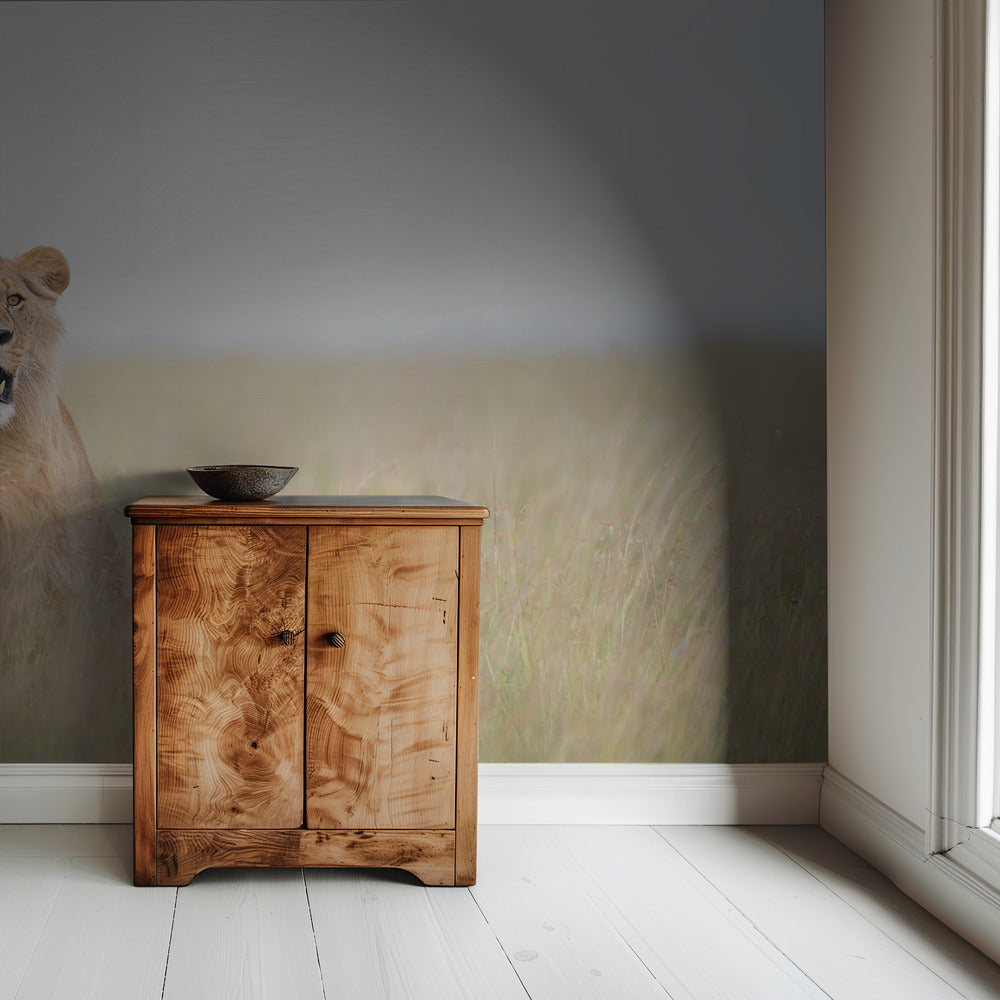 Young Lion | Wallpaper