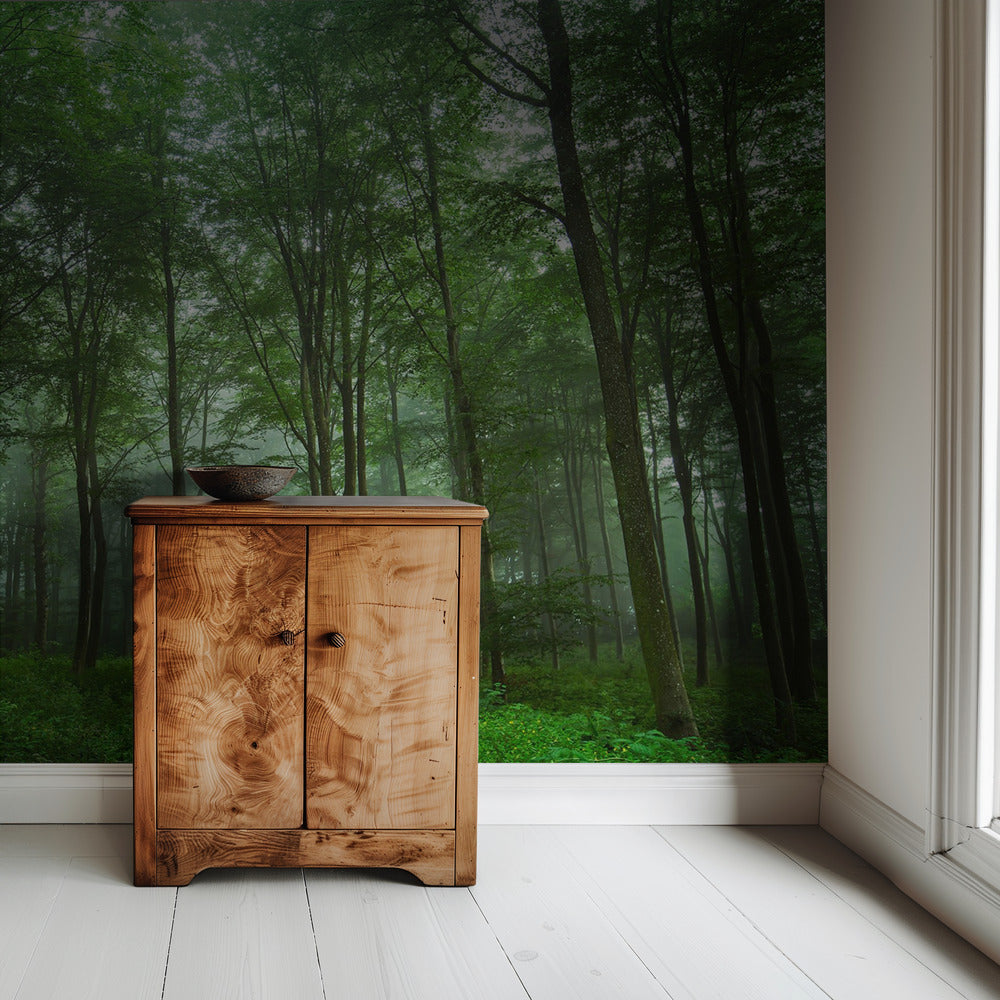 Forest View | Wallpaper