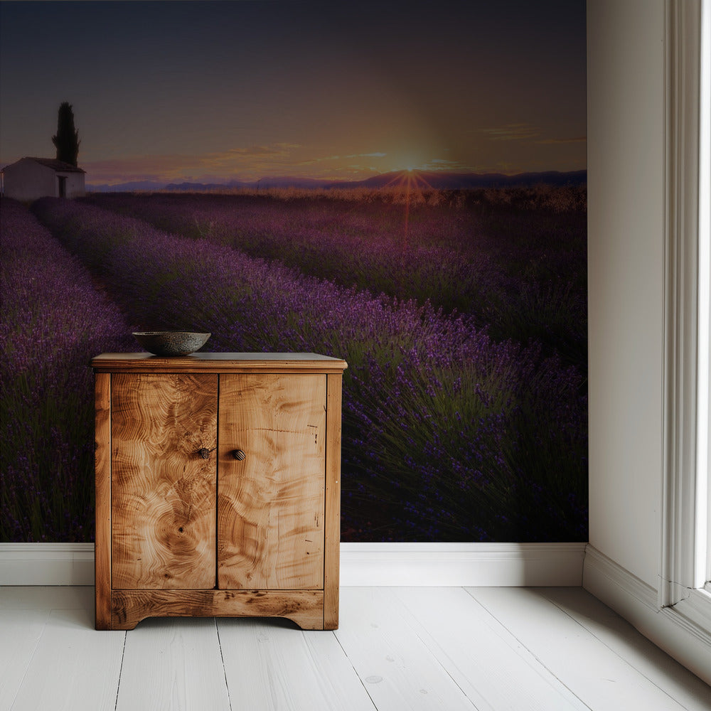 Provence Lavender | Wallpaper