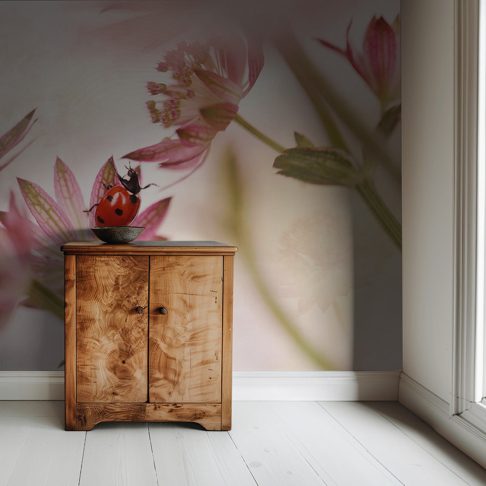 Ladybird and pink flowers | Wallpaper