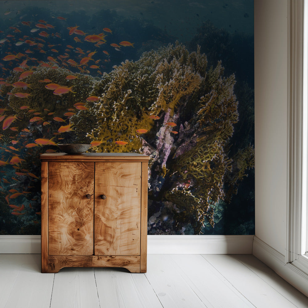 Reefscape | Wallpaper