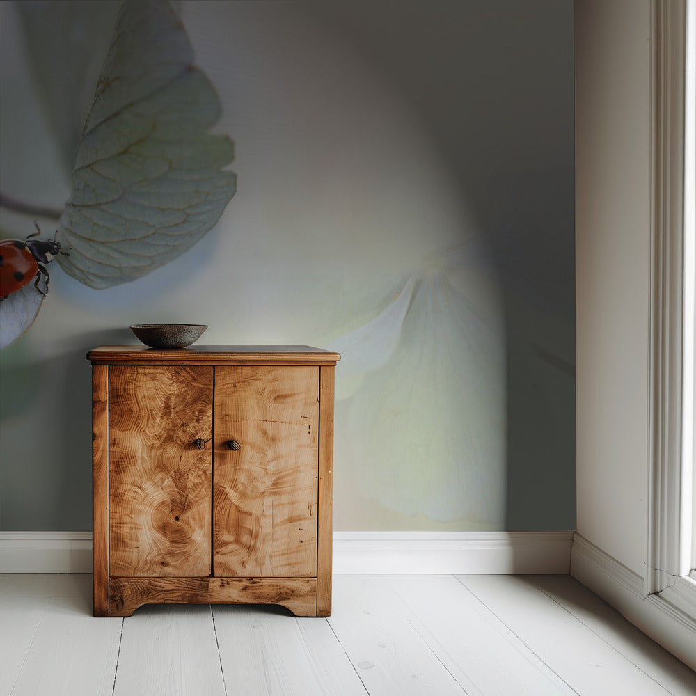 Ladybird on blue-green hydrangea | Wallpaper