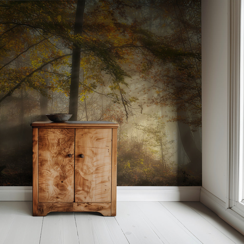 The lights of the forest | Wallpaper