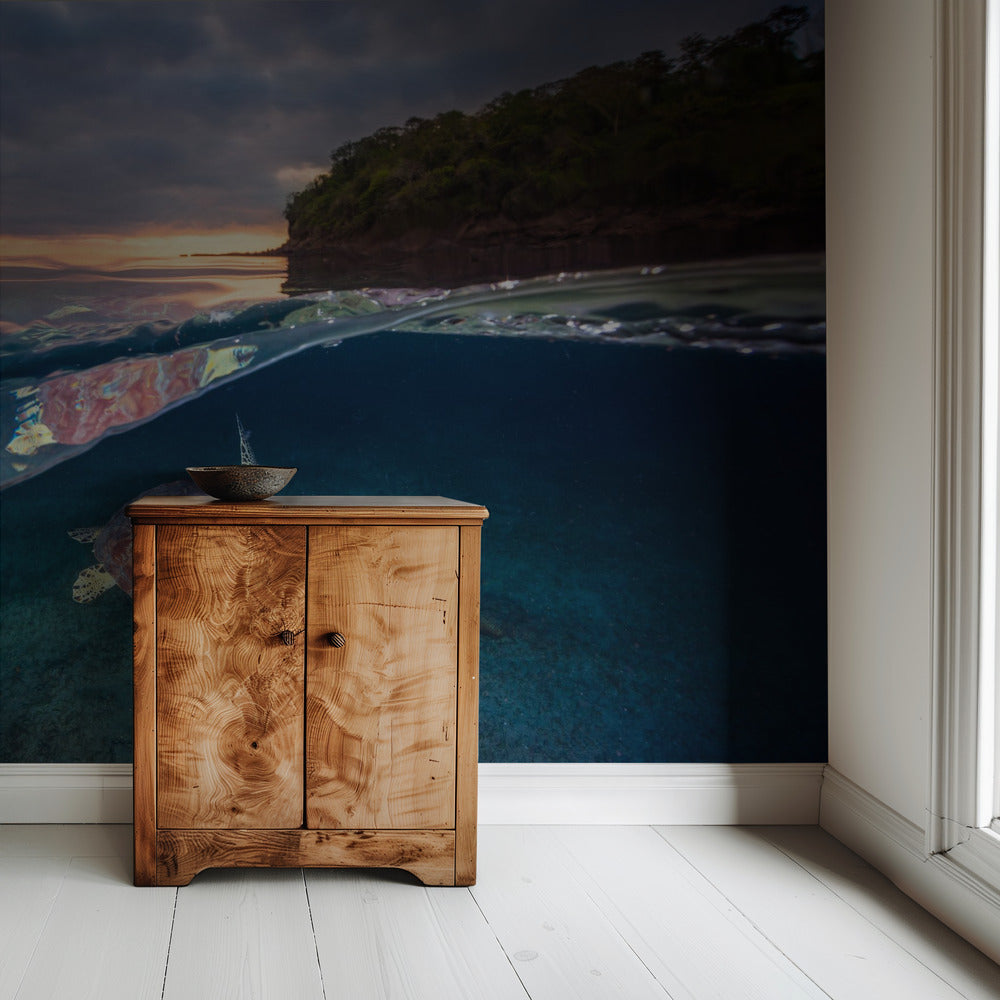 Green turtle with sunset | Wallpaper