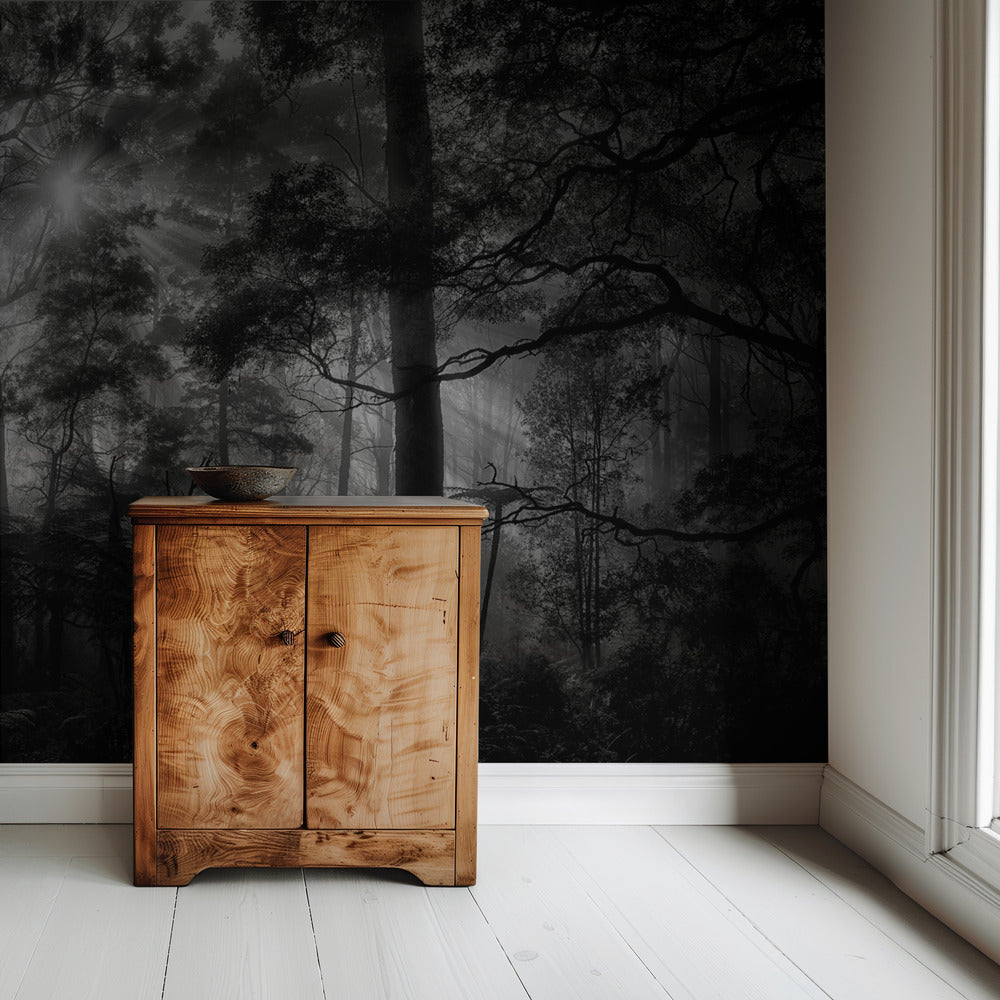 Primary forest | Wallpaper