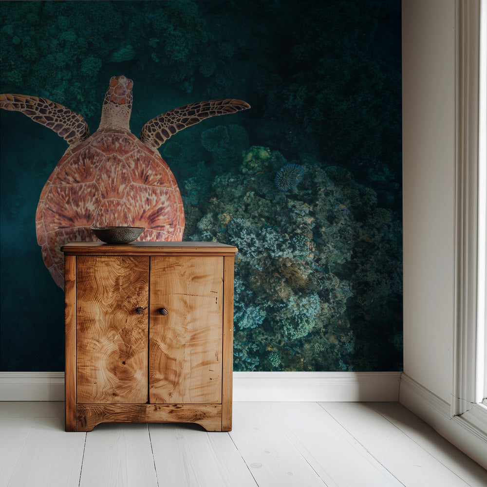 Flying over the reef | Wallpaper