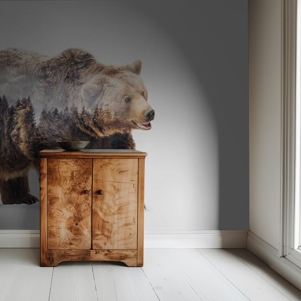 Bear | Wallpaper
