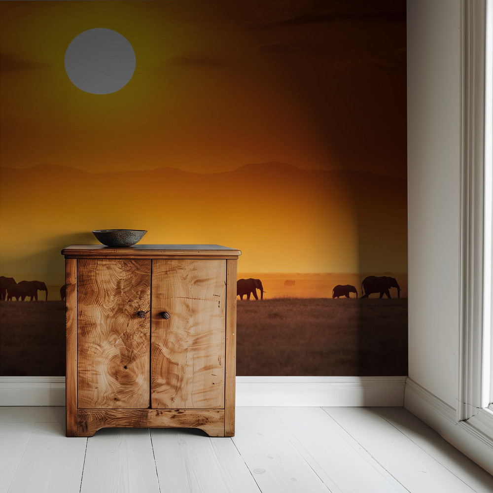 Sunrise parade | Wallpaper