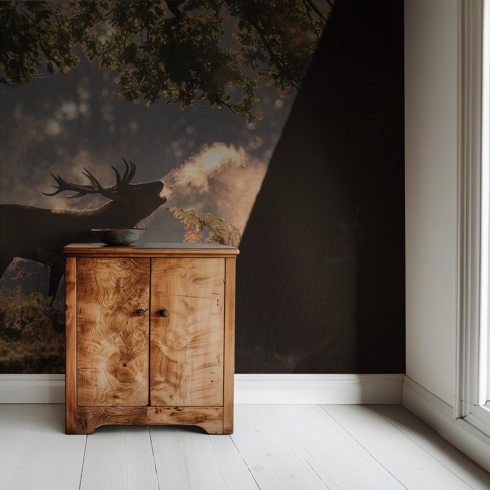 He Waits in the Shadows | Wallpaper