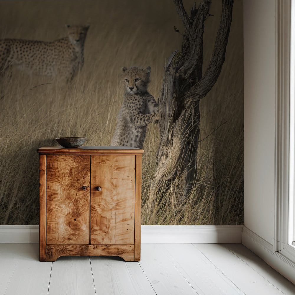 I've Got it Mum | Wallpaper