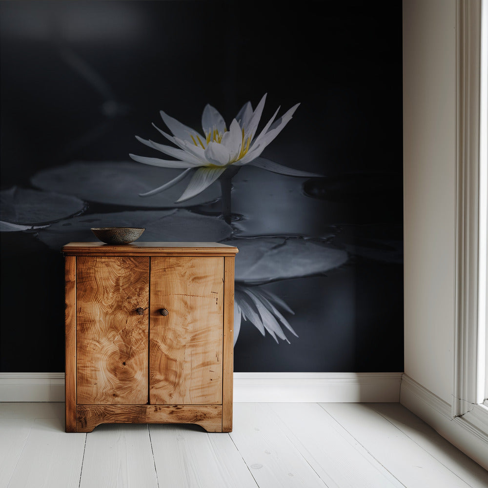 Reflection | Wallpaper