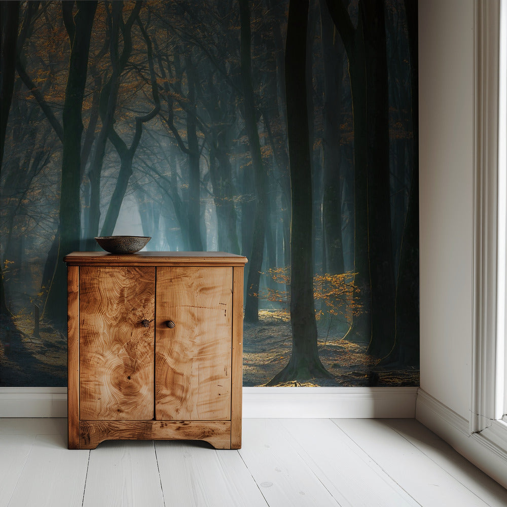 Cold Light | Wallpaper