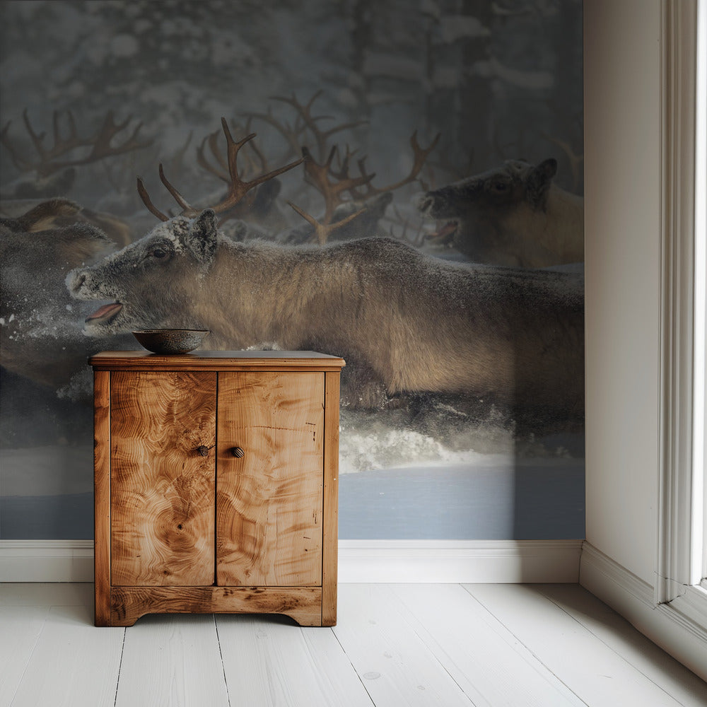 Reindeers III | Wallpaper