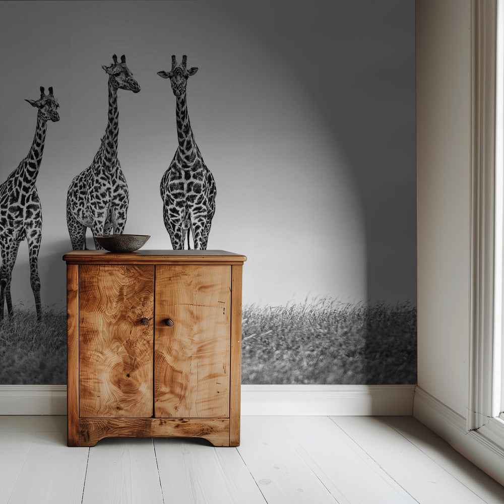 Giraffes in the Mara plains | Wallpaper