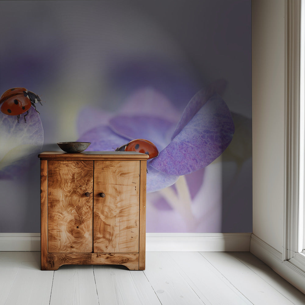 Red and purple | Wallpaper