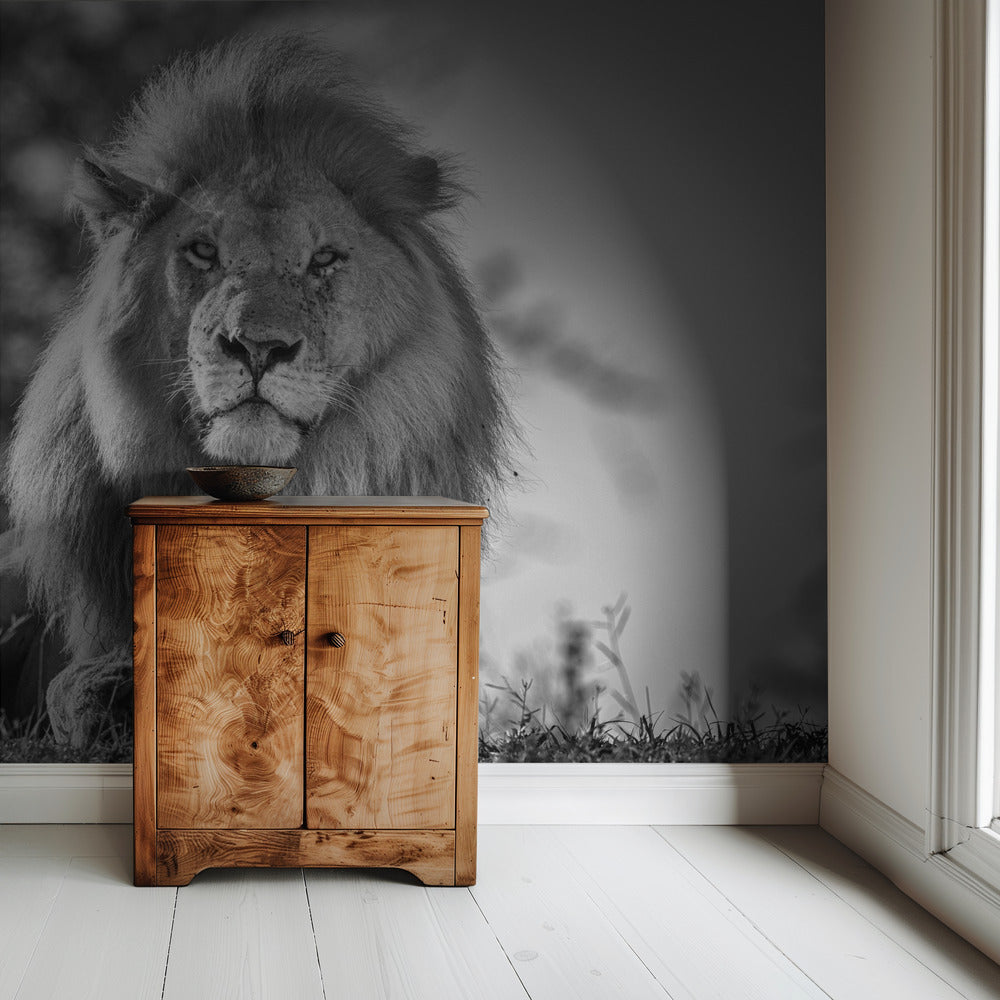 Monochromatic lion king | Wallpaper