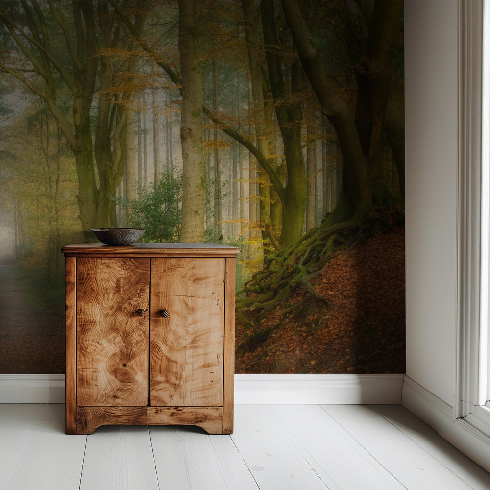 Following Fog | Wallpaper