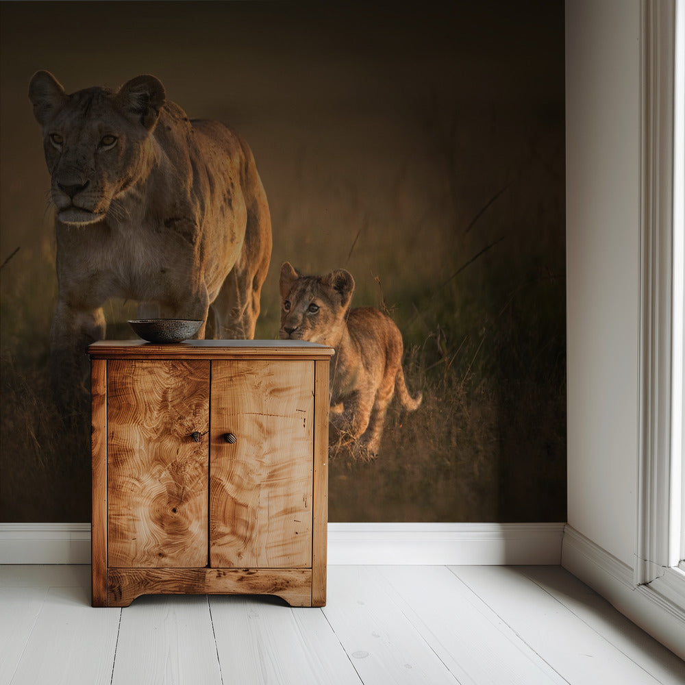 Mom lioness with cub | Wallpaper
