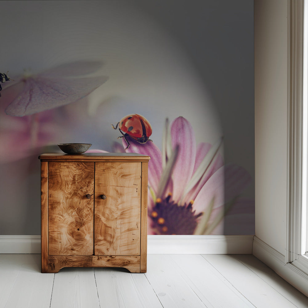 Last days of summer | Wallpaper