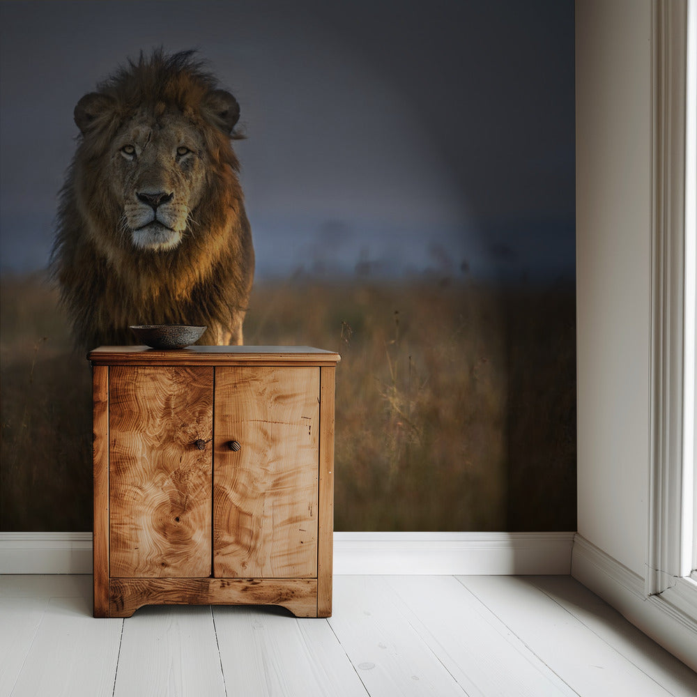 Lion Close Up | Wallpaper