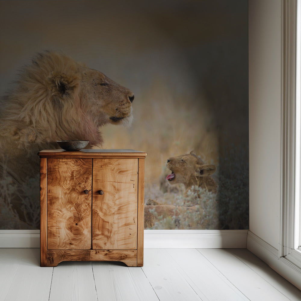 Male lion with cub | Wallpaper
