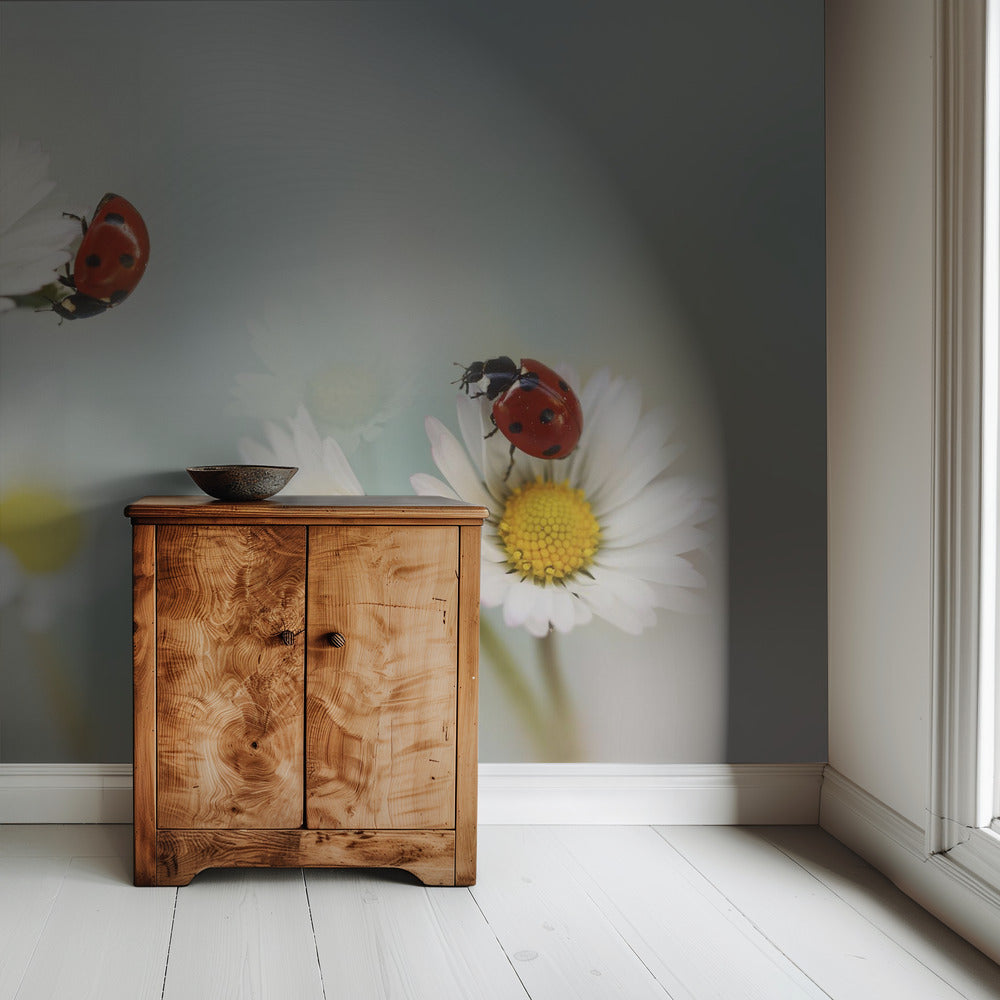 Springtime.... | Wallpaper