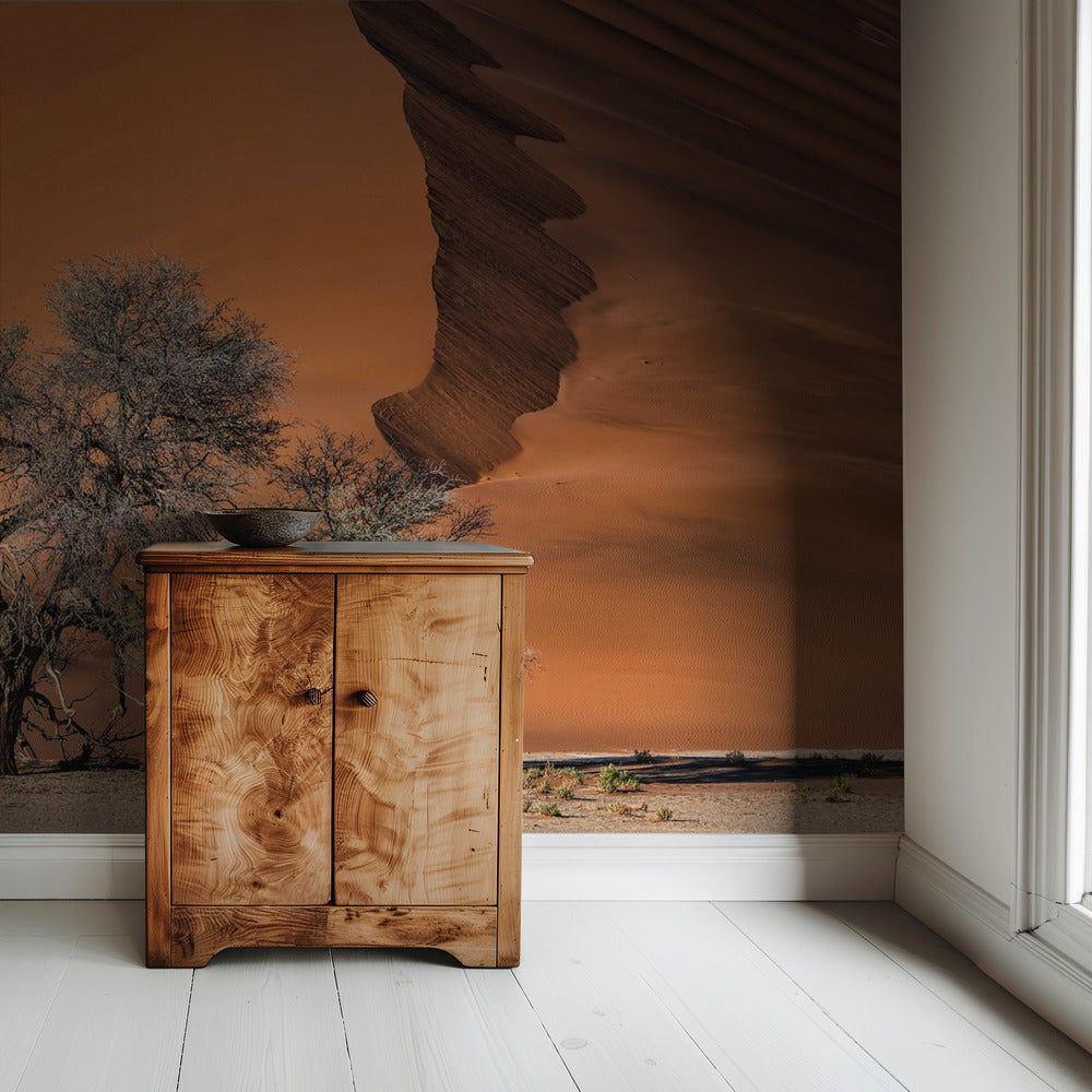 Acacia in the desert | Wallpaper