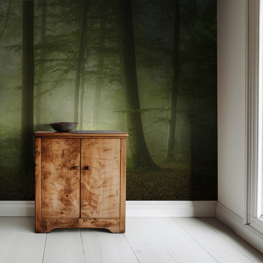 Mysterious Spring Morning | Wallpaper