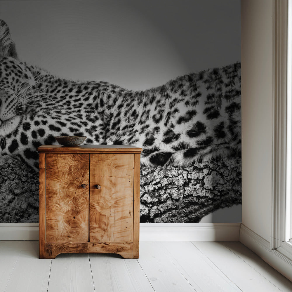 Time to rest | Wallpaper