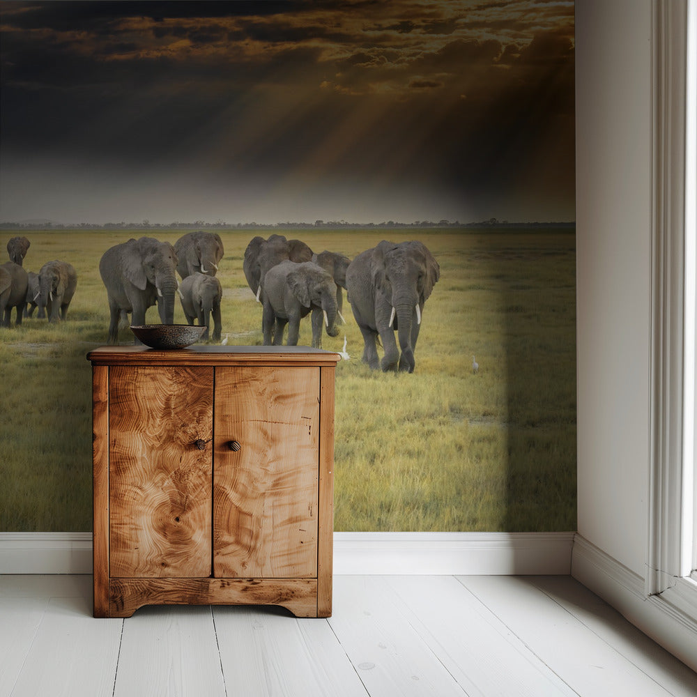 For the love of elephants | Wallpaper